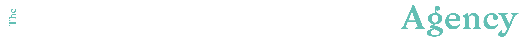 The Learning Development Agency